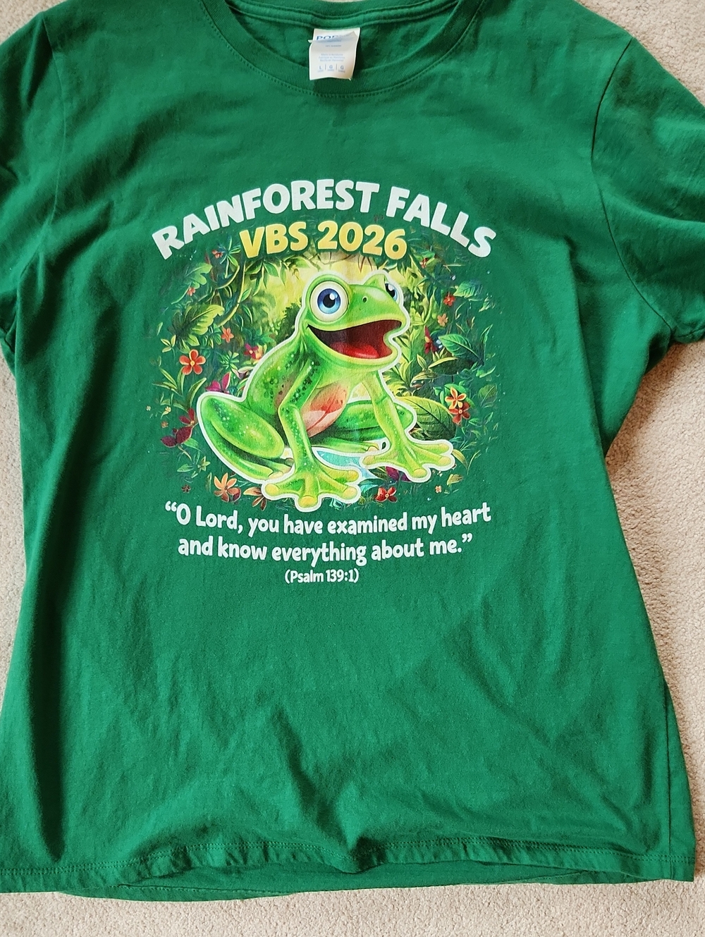 VBS Rainforest Falls Women's Cut Short Sleeve T-Shirt - Large